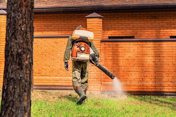 Trusted Ant Control service in Comstock Northwest, MI - Nex Pest Control